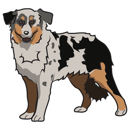Signmission Miniature American Shepherd Dog Decal, Dog Lover Decor Vinyl Sticker D-12-Miniature American Shepherd